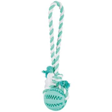 Denta Fun Ball am Tau, Mintfresh, Naturgummi, 7cm/24cm